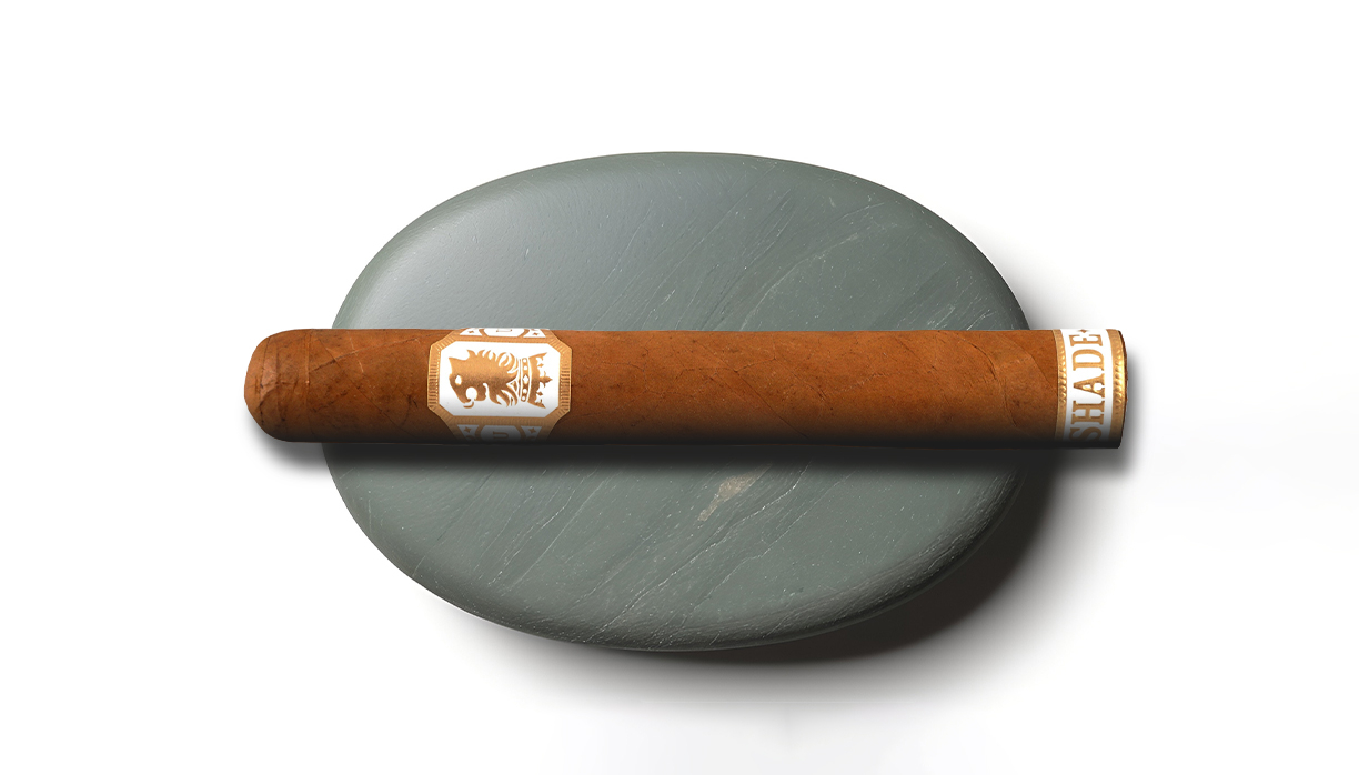 Banner Liga Undercrown